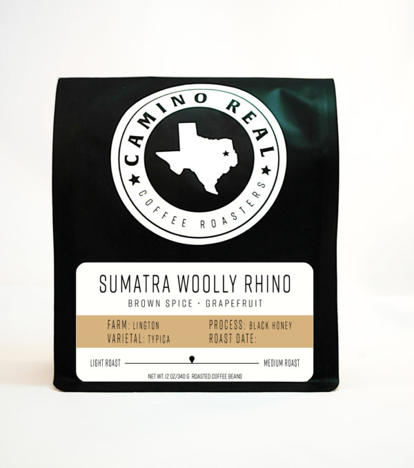 Sumatra Woolly Rhino